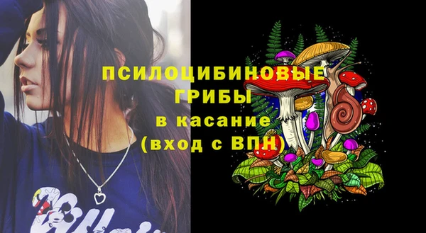 мдма Ладушкин